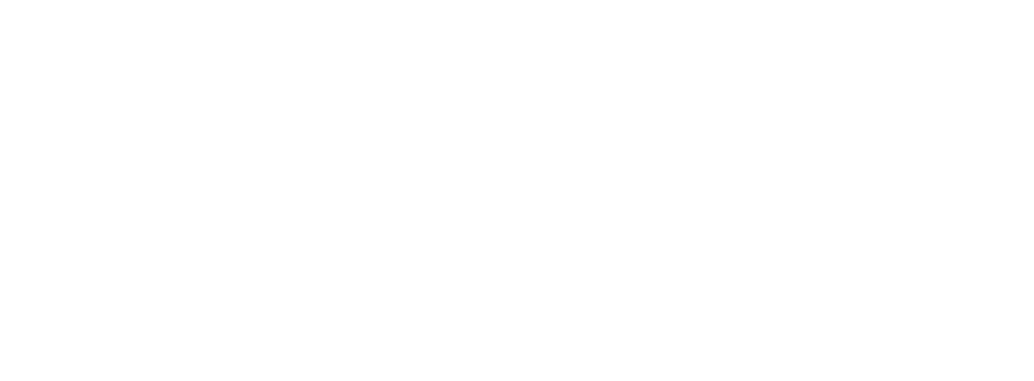 DT_Logo Klein.png
