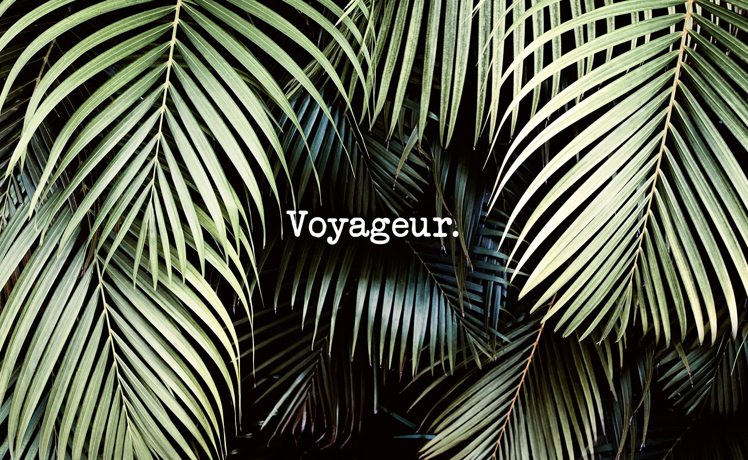 Voyageur_Intro.jpg