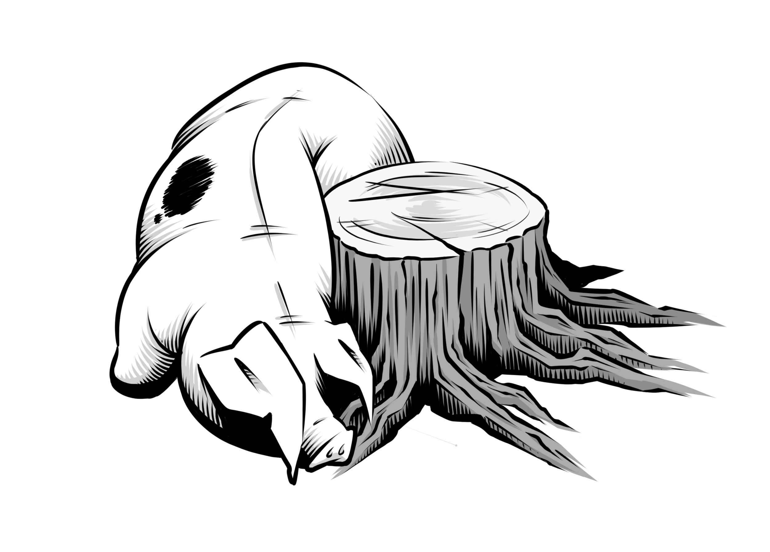 Drawing from Stories in the Flesh (2/4)