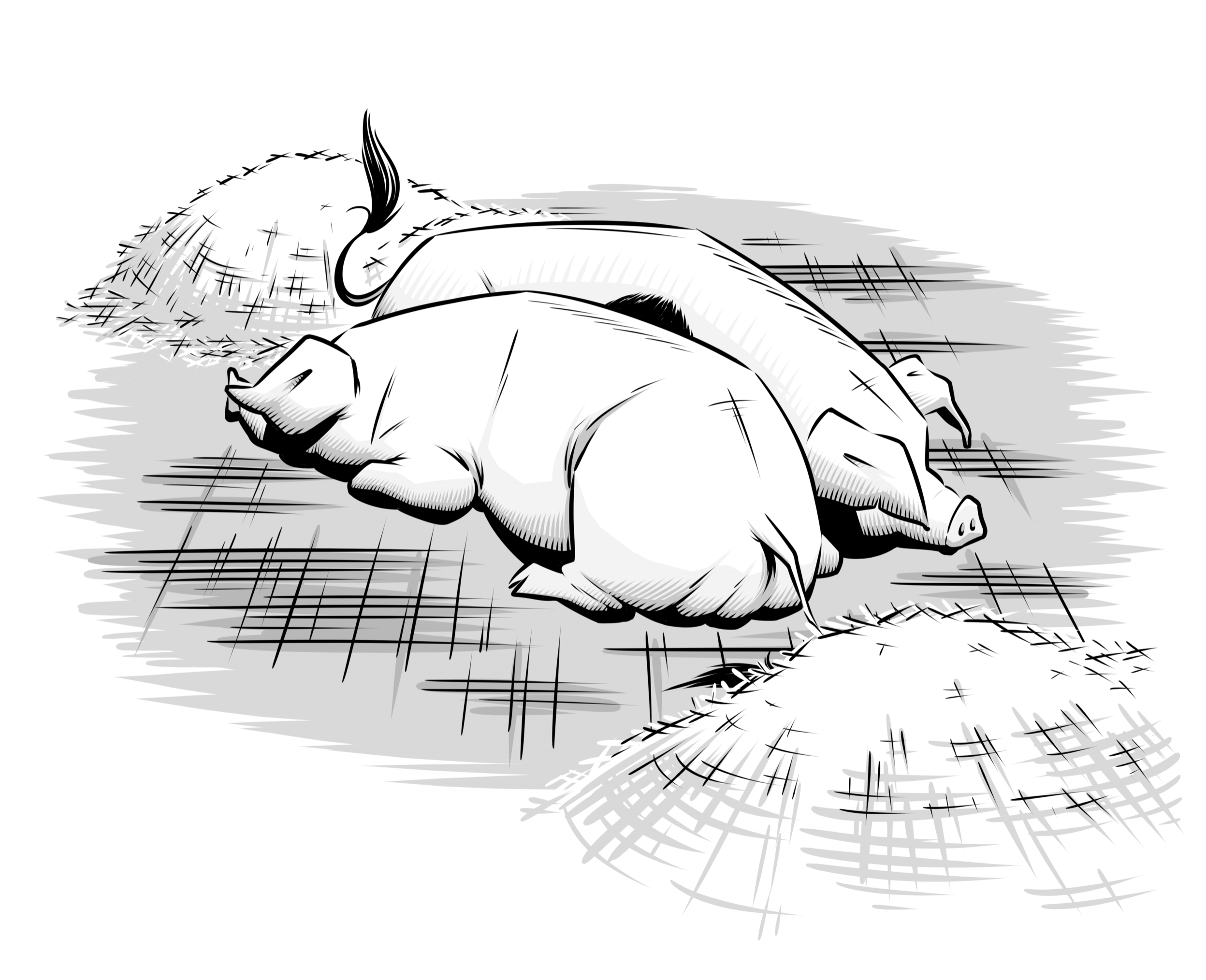 Drawing from Stories in the Flesh (4/4)
