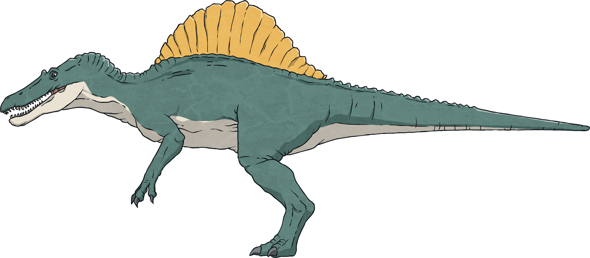 Spinosaurus--Dinosaur-Animal-Reptile-Biology-Science-History-MPS-KS2.png