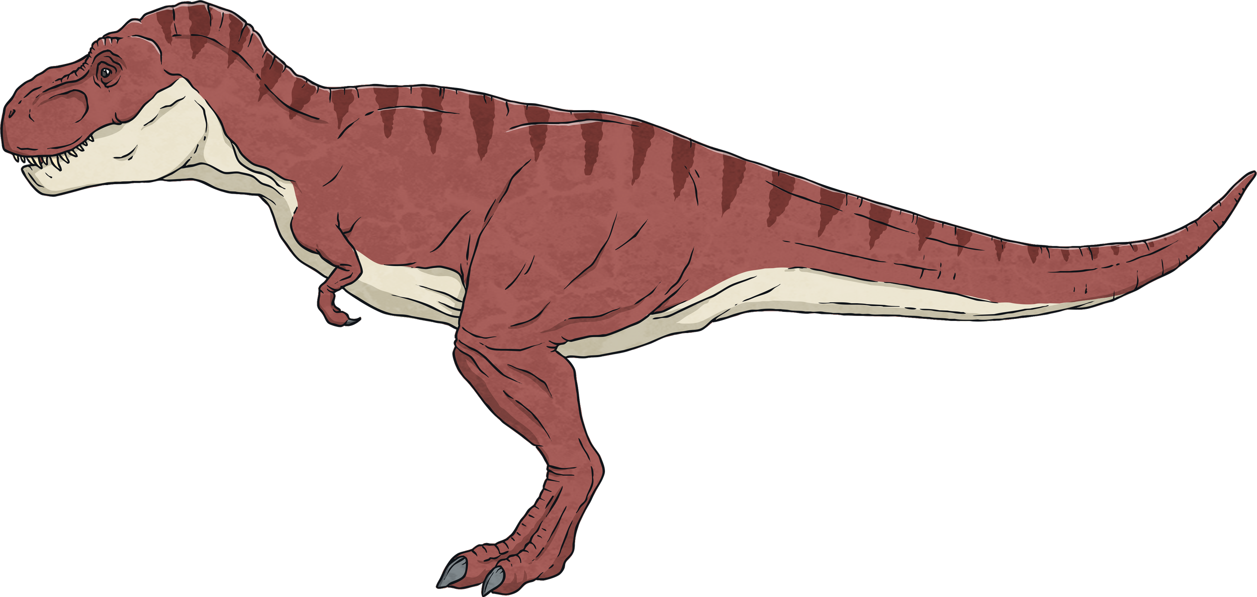 T-Rex--Dinosaur-Animal-Reptile-Biology-Science-History-MPS-KS2.png
