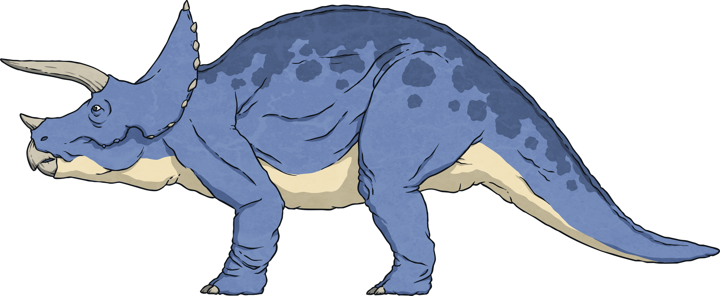 Triceratops--Dinosaur-Animal-Reptile-Biology-Science-History-MPS-KS2.png