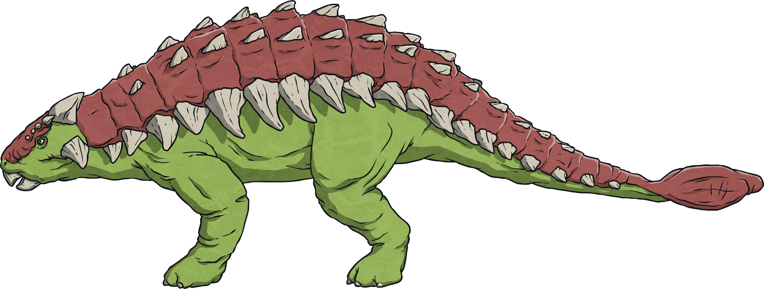 Ankylosaurus--Dinosaur-Animal-Reptile-Biology-Science-History-MPS-KS2.png