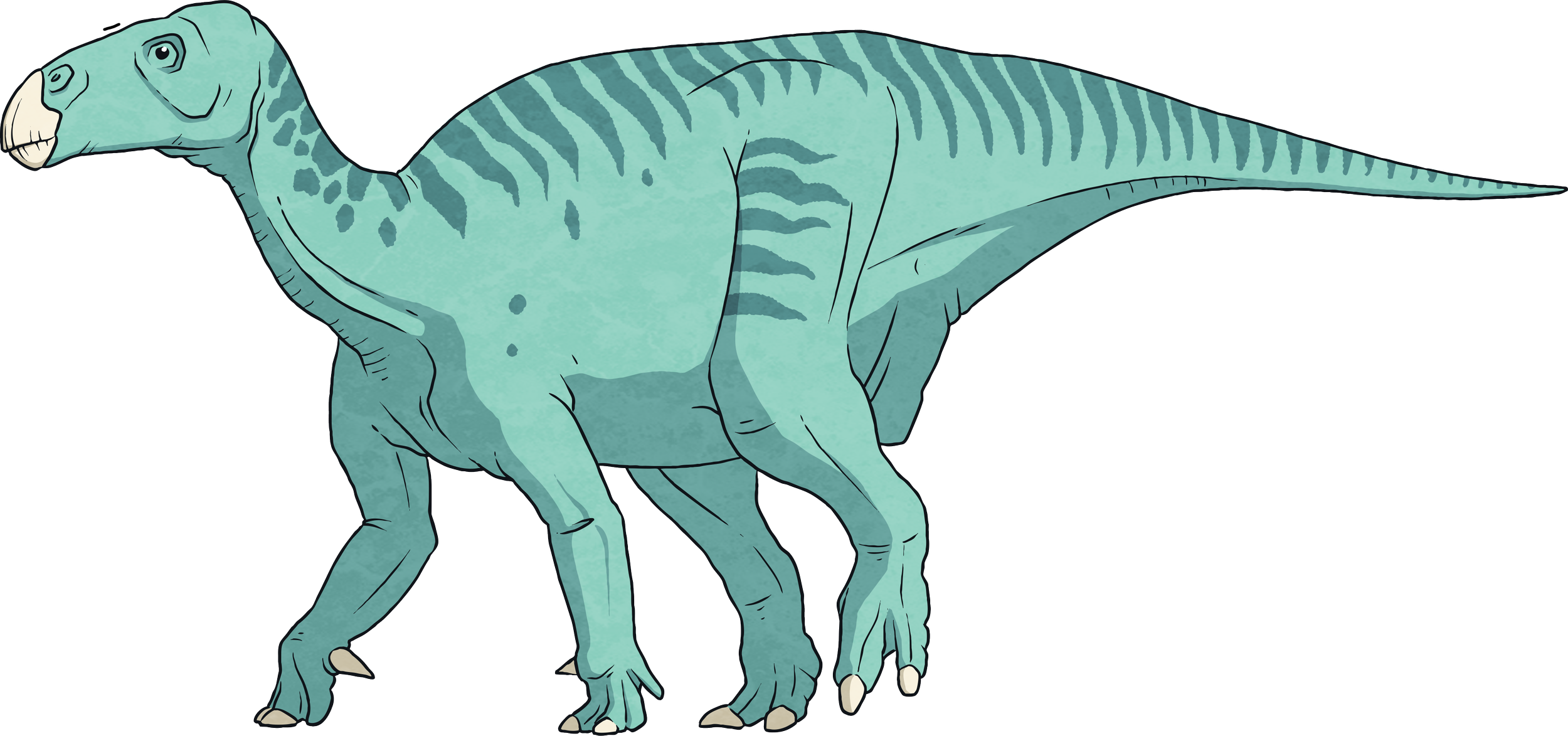 Iguanodon--Dinosaur-Animal-Reptile-Biology-Science-History-MPS-KS2.png