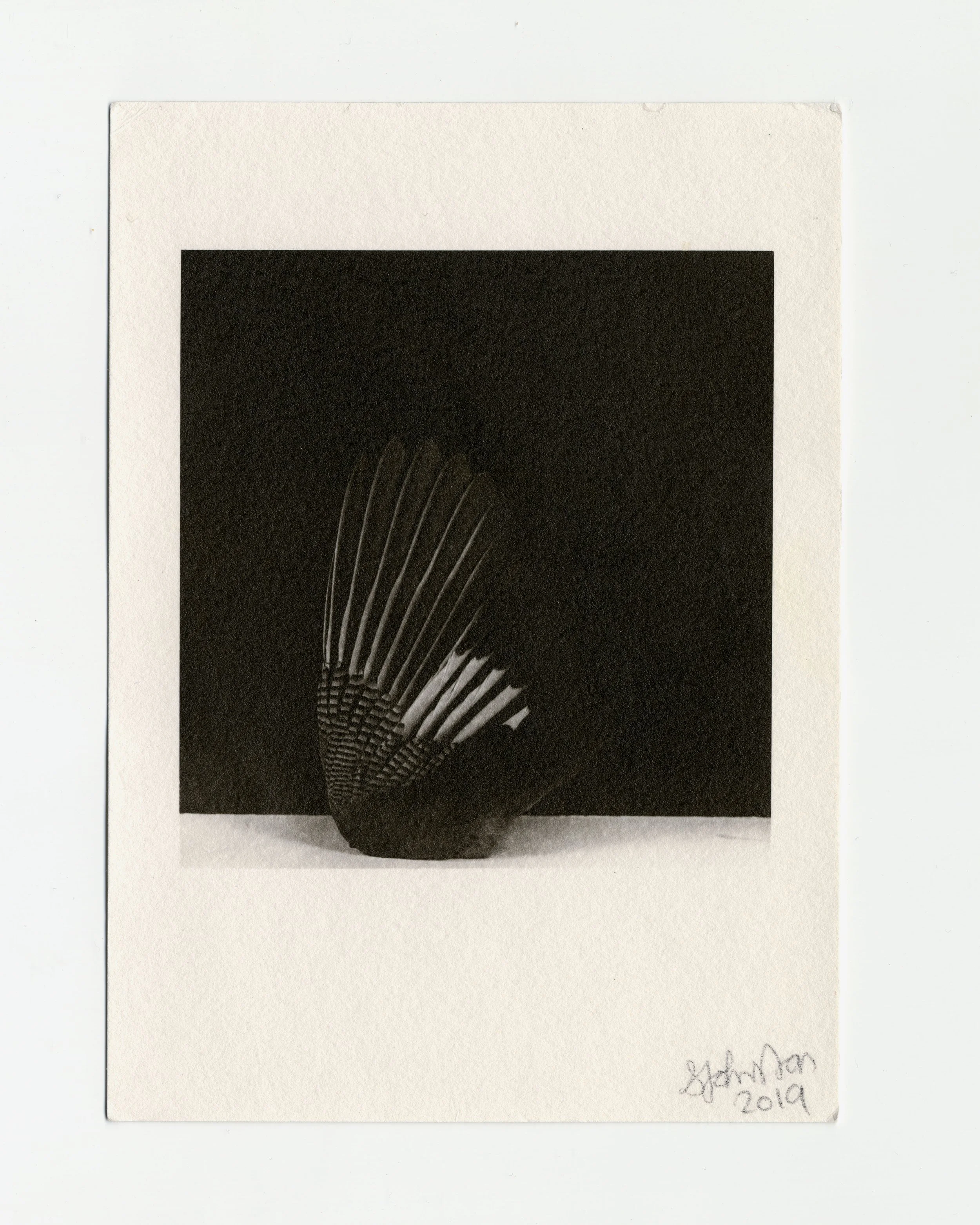 Scan 2.jpg