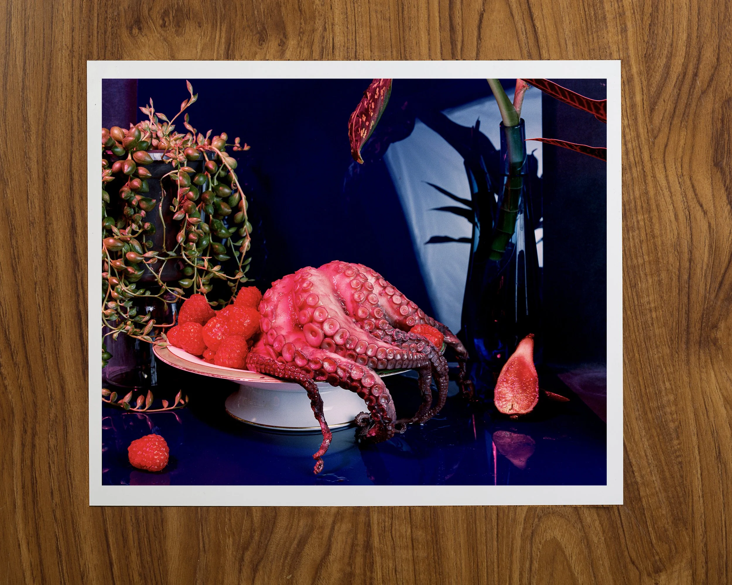 raspberry Octopus.jpg