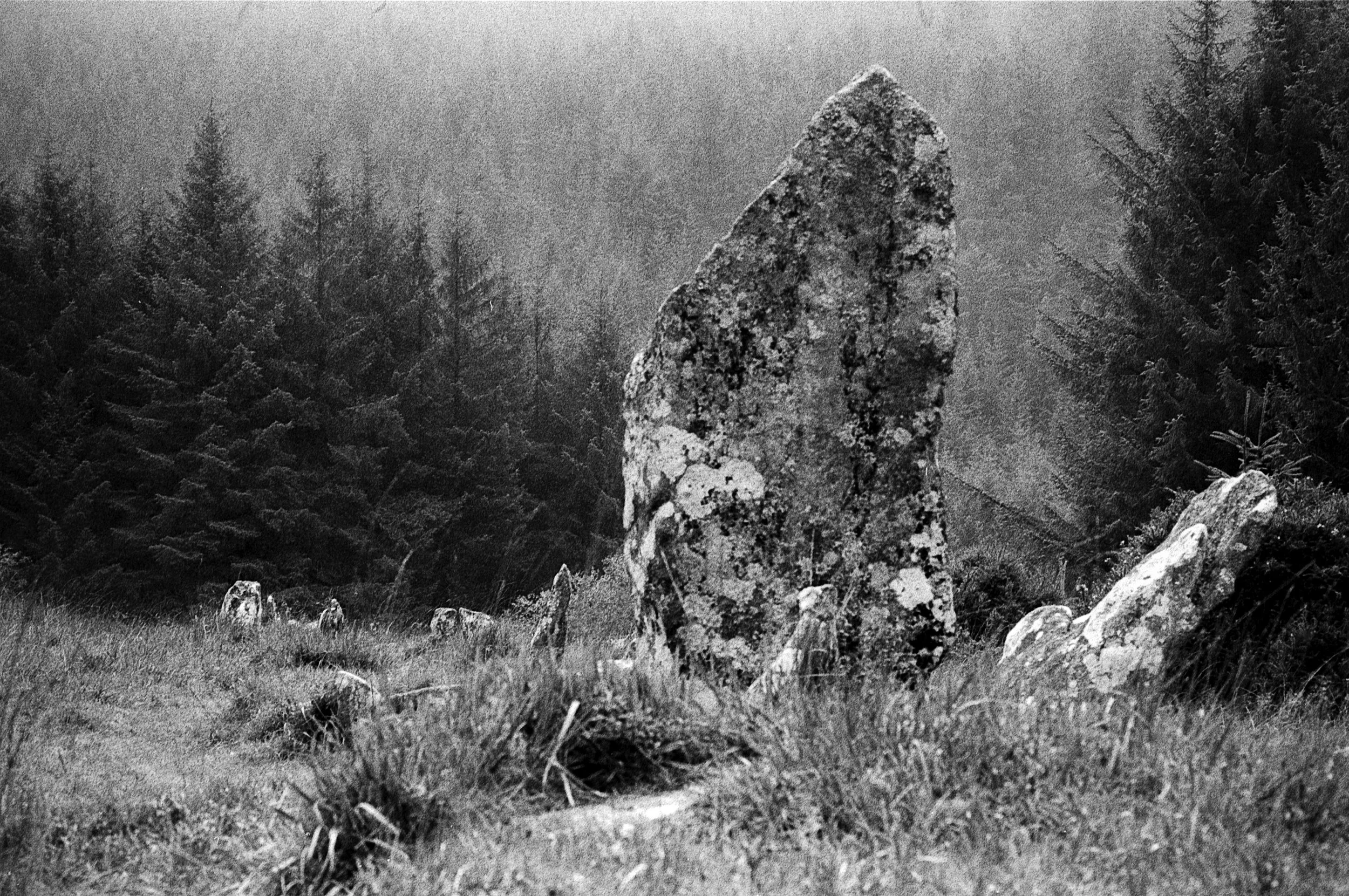 sept_2026_FERNWORTHY.jpg
