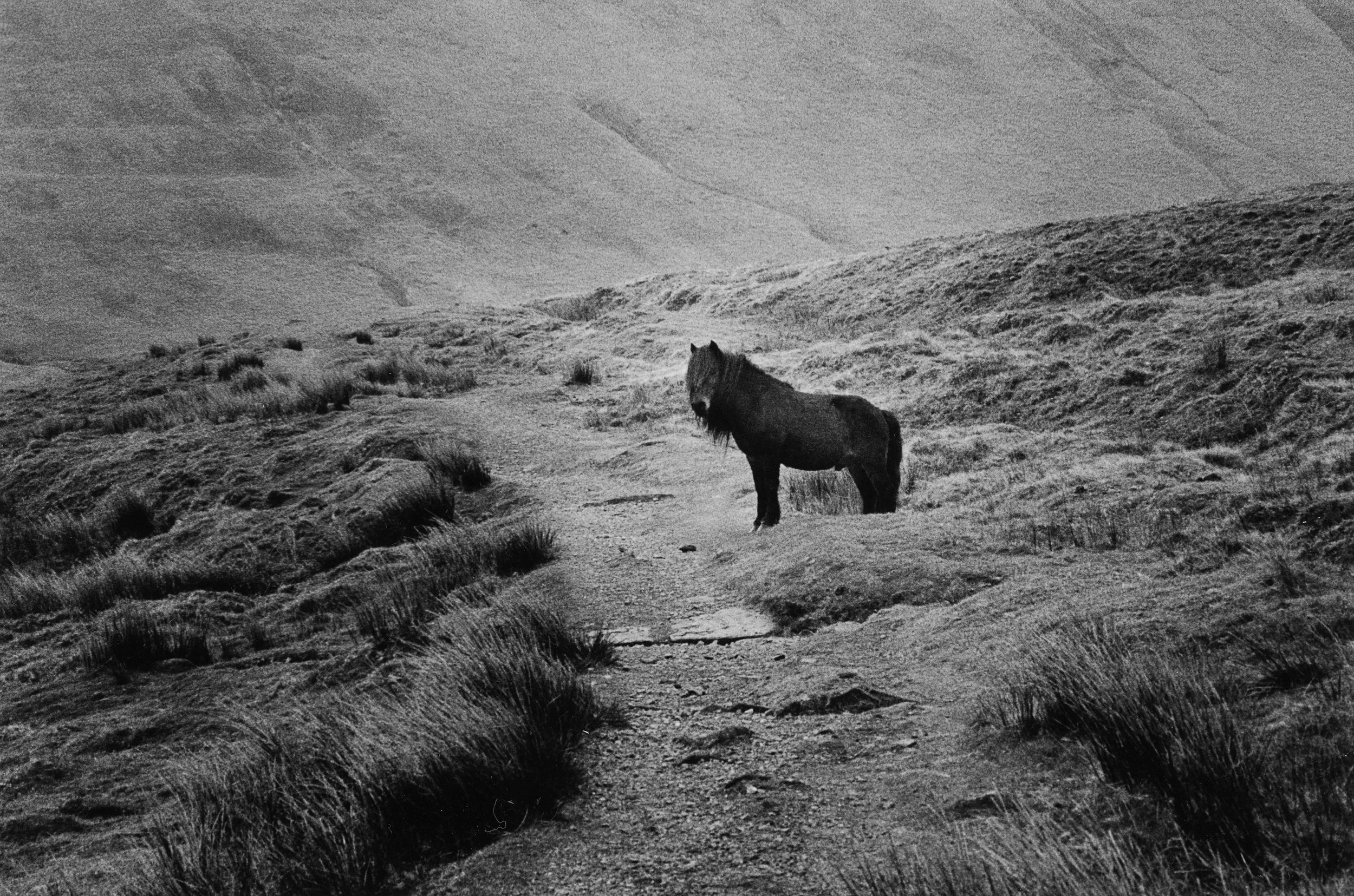 BLACKMOUNTAINS_WALES_APR_2025.jpg