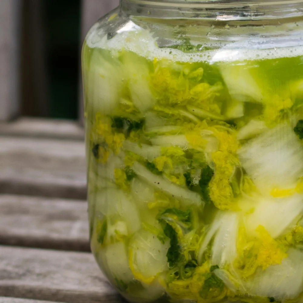 Quick Fermented Sauerkraut Recipe, No Cooking Required