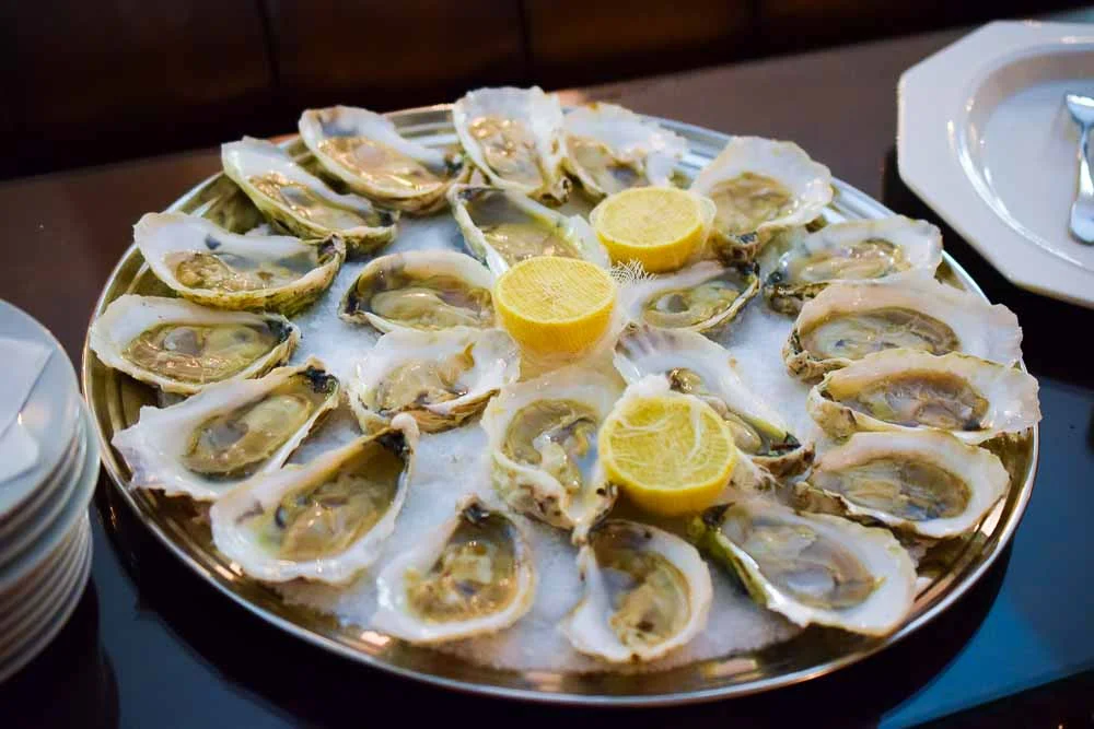 Chesapeake Bay "Oyster Farm" - Are They Plants or Animals?