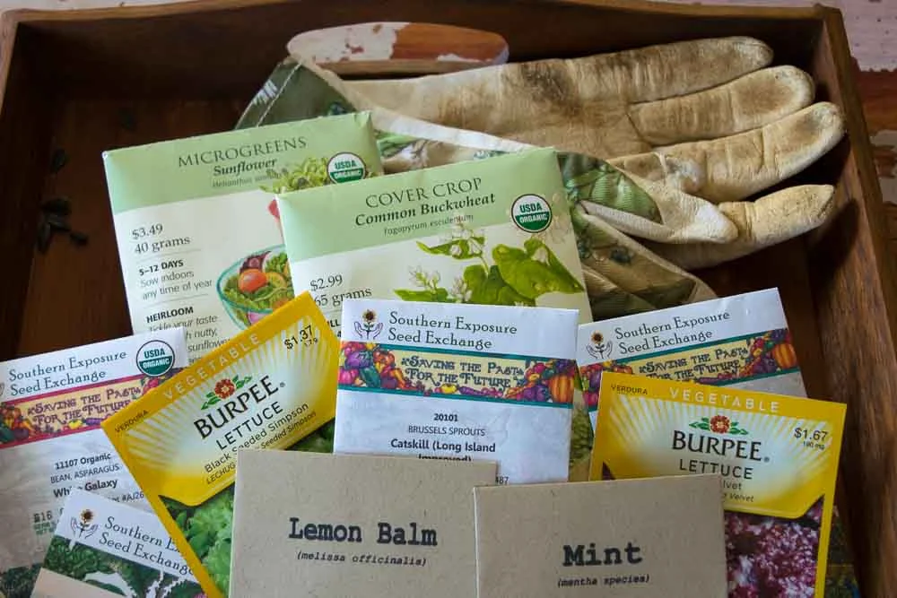 5 Benefits of Hosting an Urban Seed and Plant Exchange