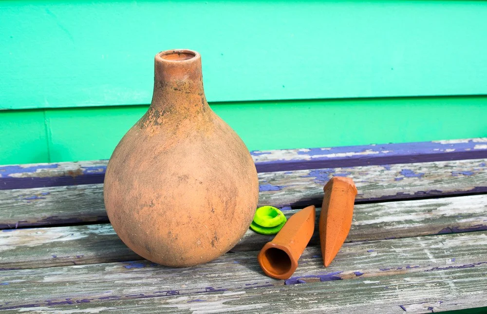 Clay Ollas: Cheap and Easy Self-Watering Garden System