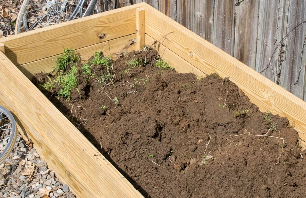 No-Till Gardening Method Using a Winter Cover Crop