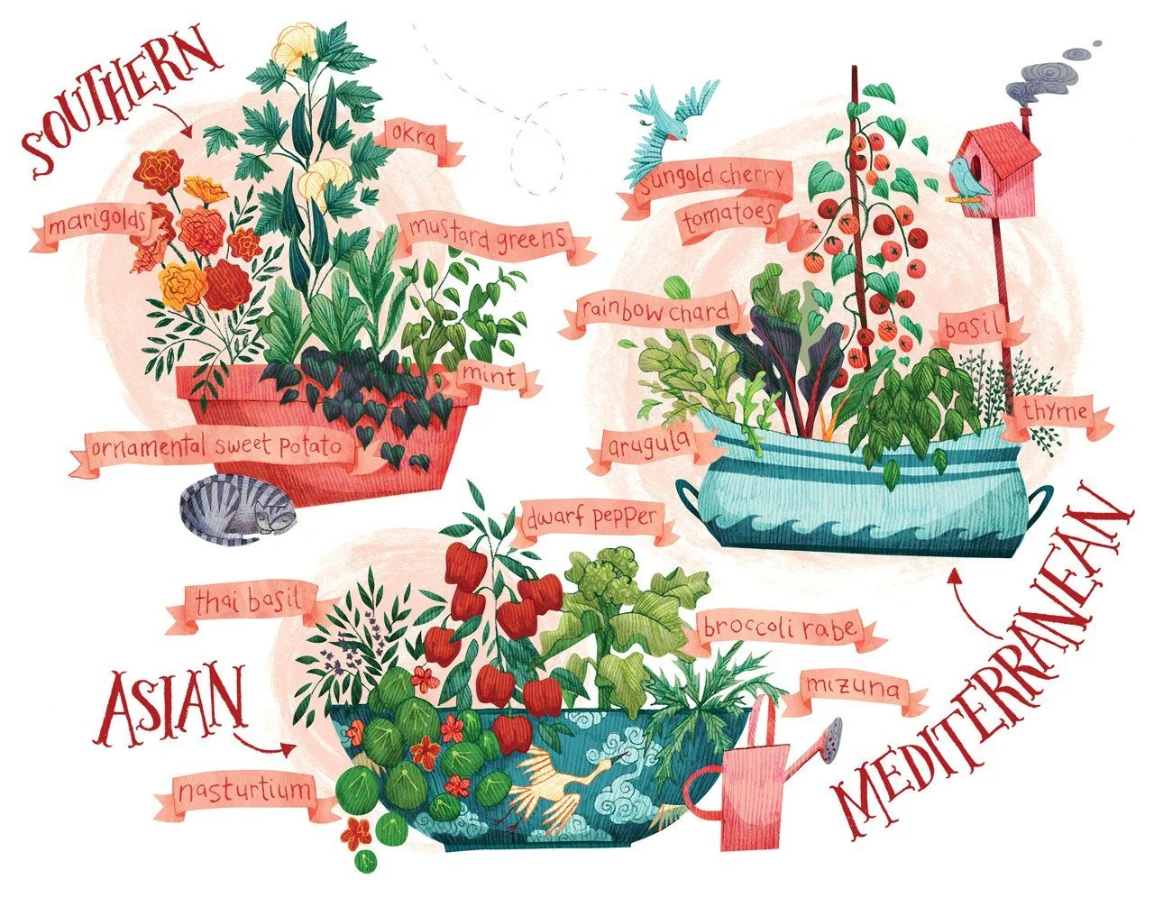 Tasty Food Themes for What Vegetables to Grow in Pots