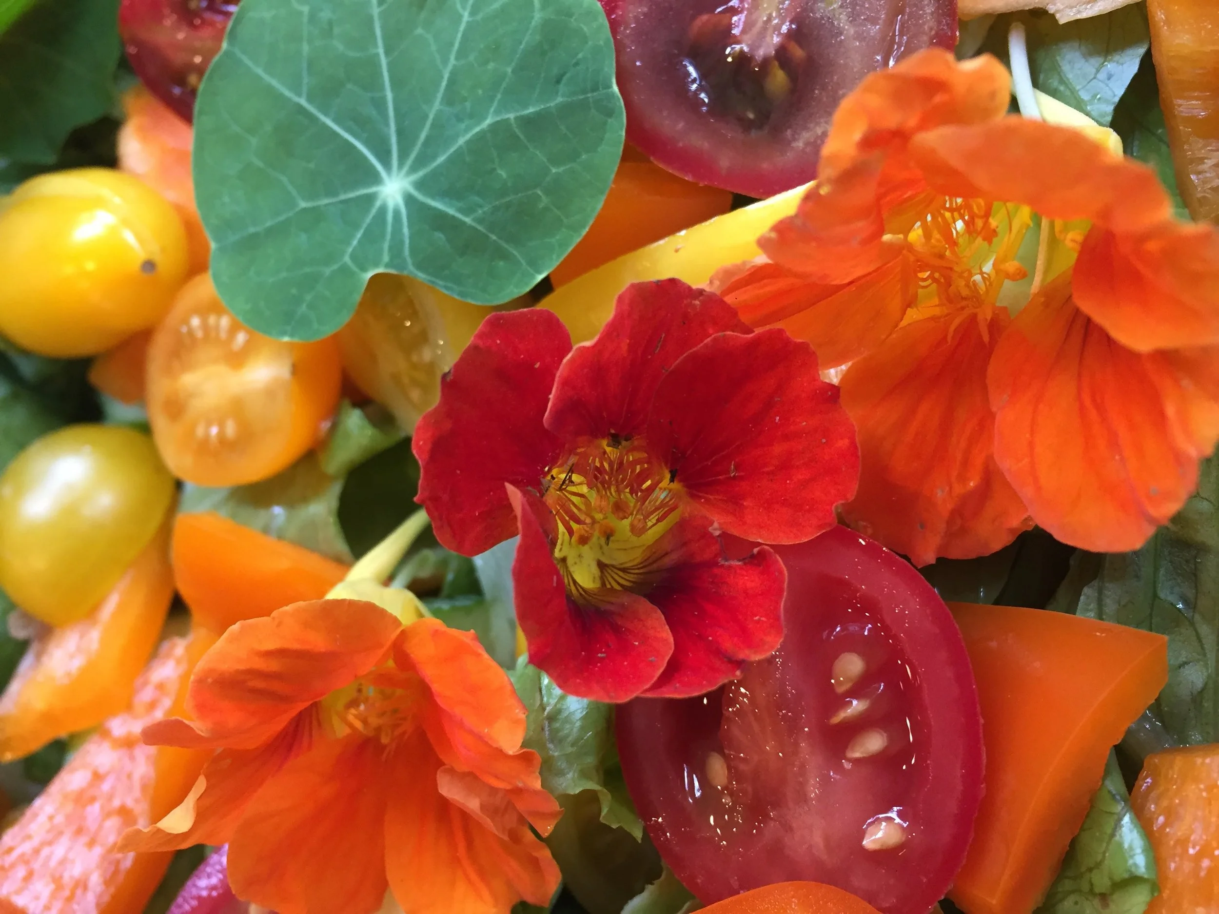 The 9 Best Edible Flowers for Colorful Summer Cooking