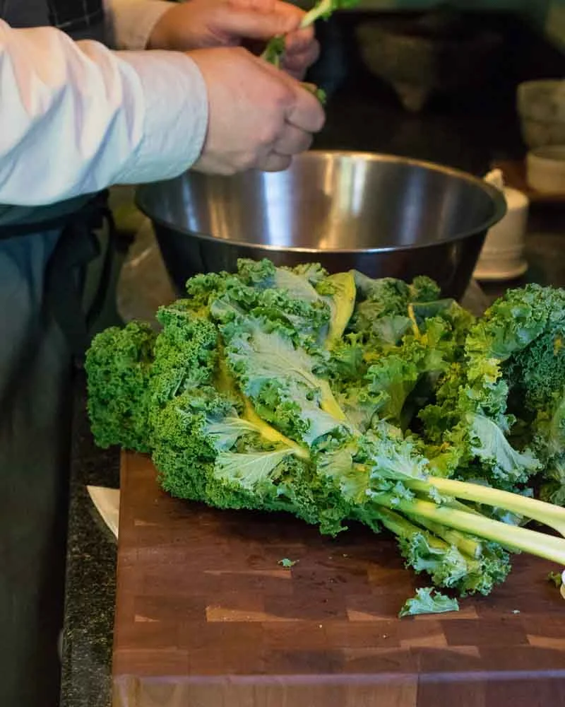 6 Ways to Help Your Winter Kale Survive and Thrive