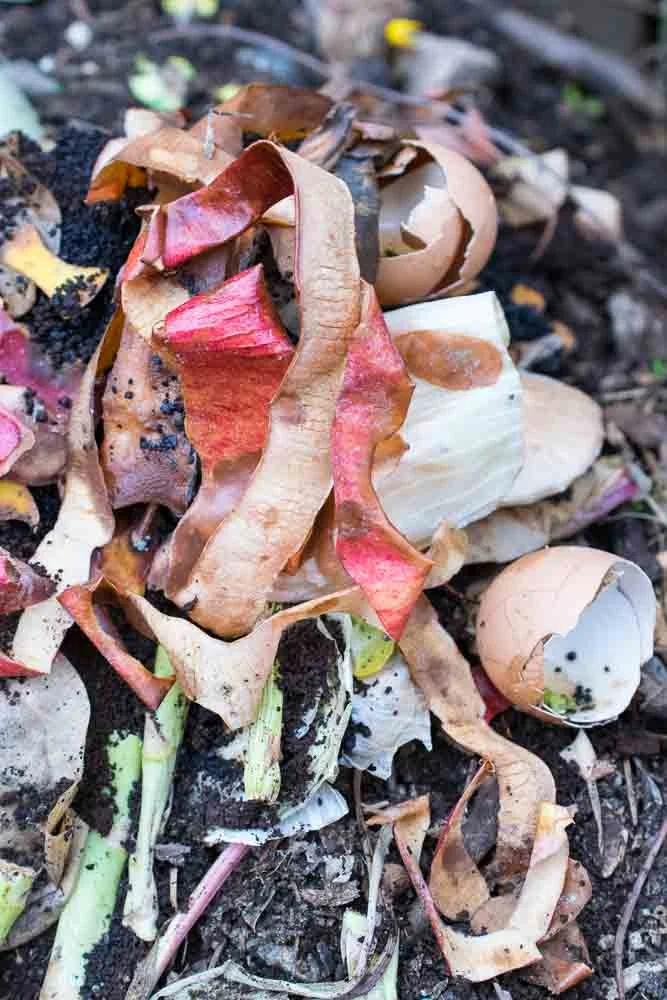 Our Lazy Guidelines for Easy Urban Kitchen Composting
