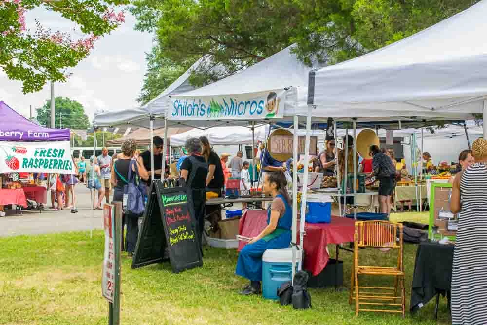 The Real Cost of Raising Local Home-Grown Strawberries