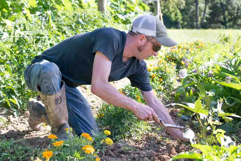 Starting a Winery Garden at Upper Shirley Vineyards