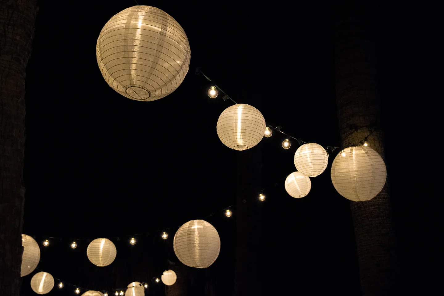 Gallery: Turning On the Holiday Garden Lights at Brookgreen