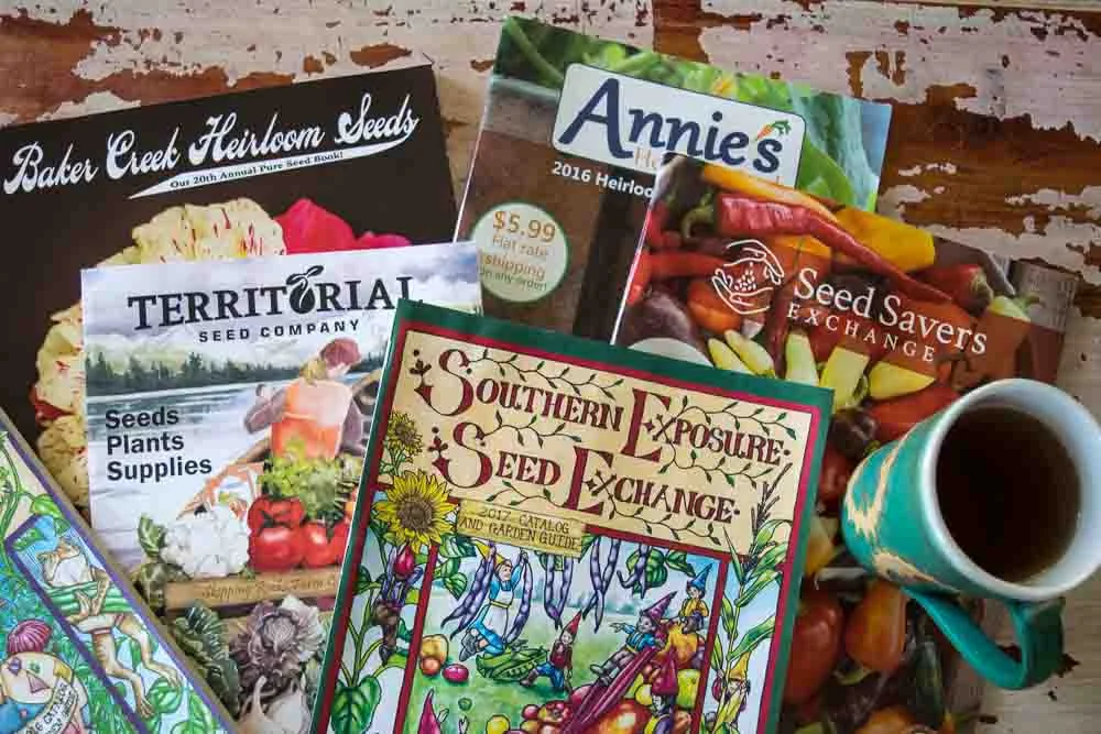 The Top 7 Heirloom Seed Catalogs for Urban Gardeners