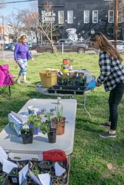 Set up plenty of tables for your seed and plant swap.