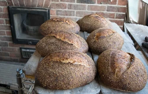 Finished Bloody Butcher loaves.