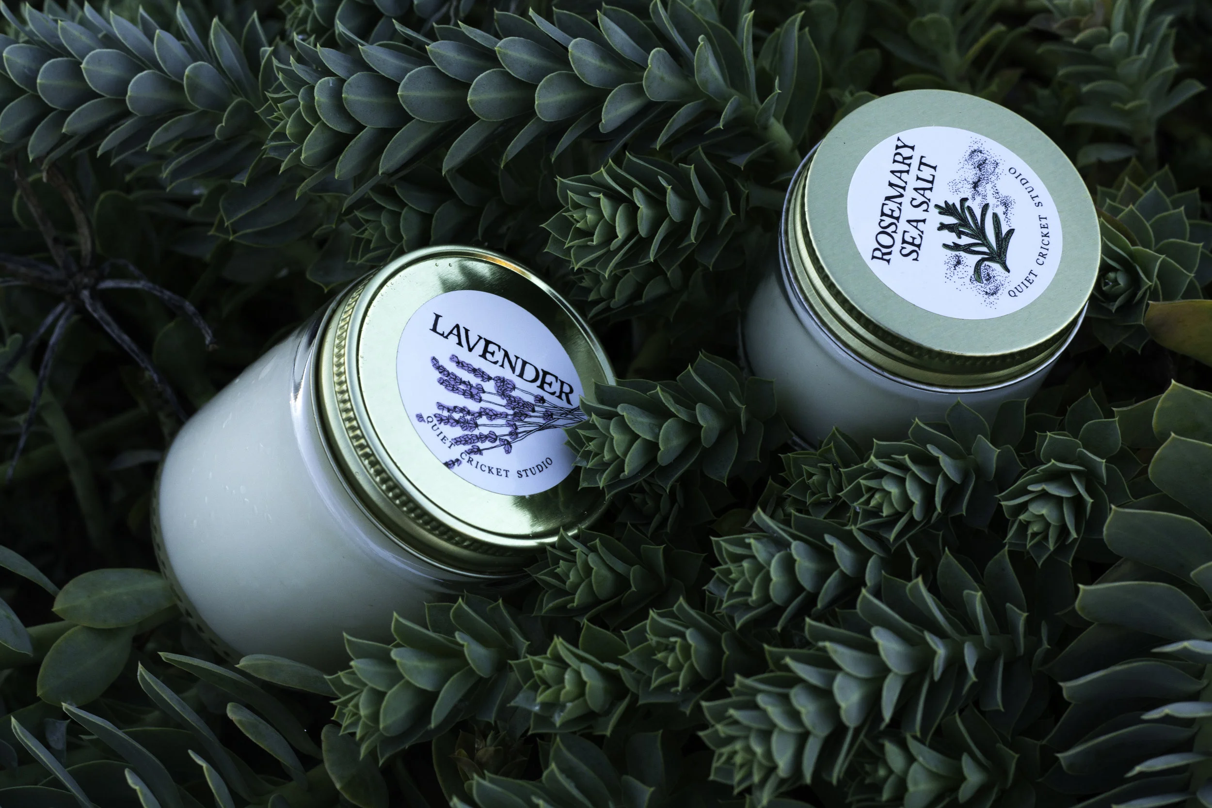 lavender rosemary sea salt in succulent.jpg