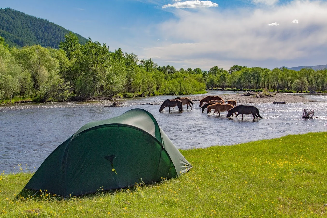 The Voyager standing up to the elements in a recent trip to Outer Mongolia.