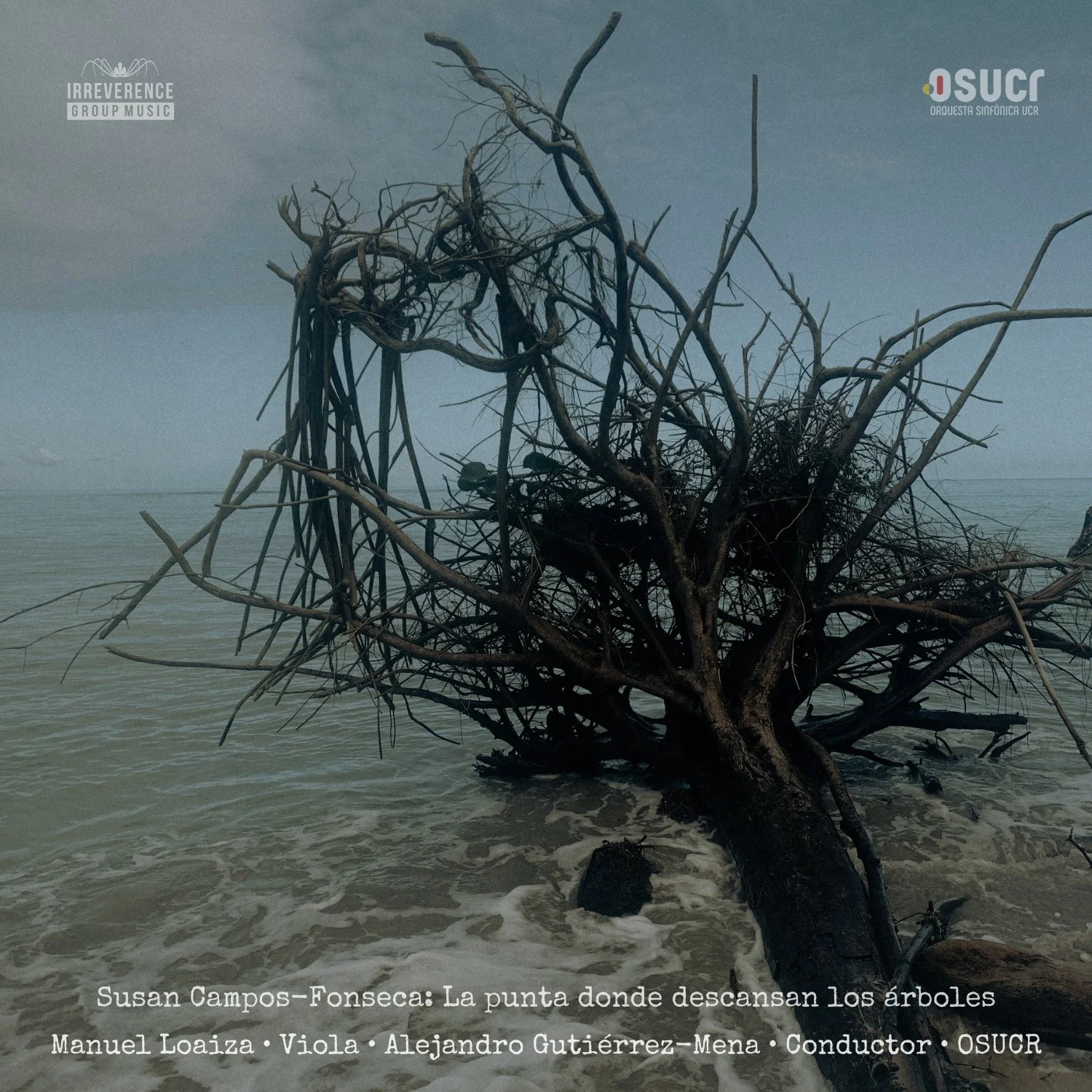 La punta donde descansan los árboles OFFICIAL COVER.jpg