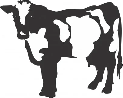 The-Waterside-West-Kilbride-Wedding-Jiggered-Ceilidh-Band-Cow.jpg