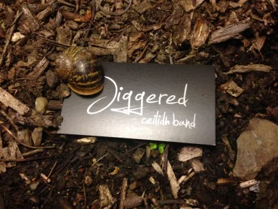 Another House for an Art Lover Wedding