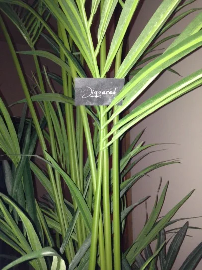 Wedding at Shawlands Park Hotel