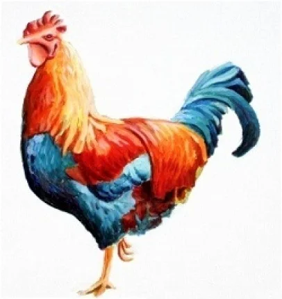Jiggered-Ceilidh-Band-Rule-the-Roost.jpg