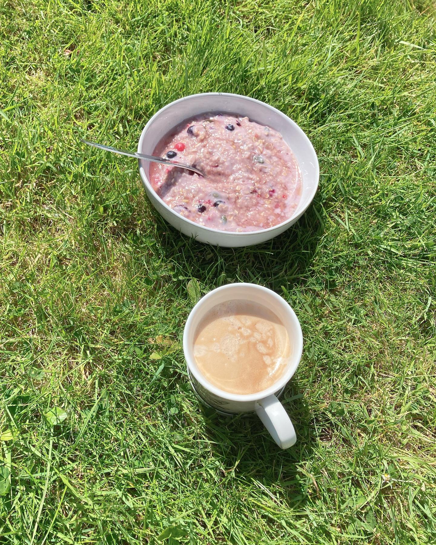 What a gorgeous sunny day! One of the perks of working from home is being able to take a break in the garden and actually eat something relatively nutritious for lunch. Moma porridge, sunflower seeds and red berries with a cuppa.
When I worked in a c