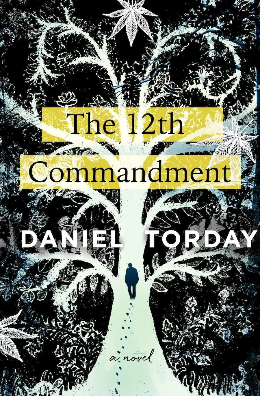 The prophet's scribe: A review of Daniel Torday’s THE 12TH COMMANDMENT