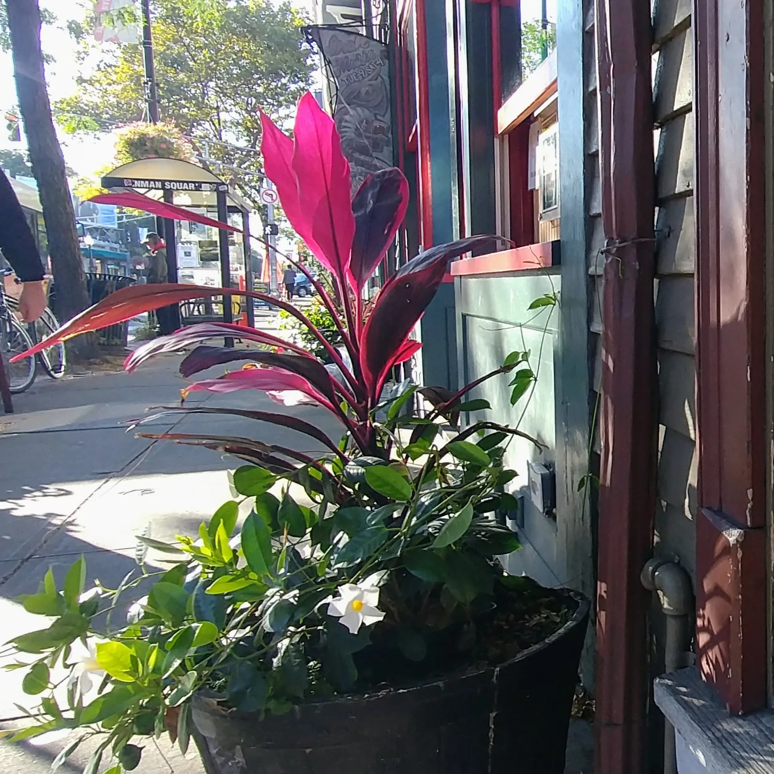 20191005_162914.jpg