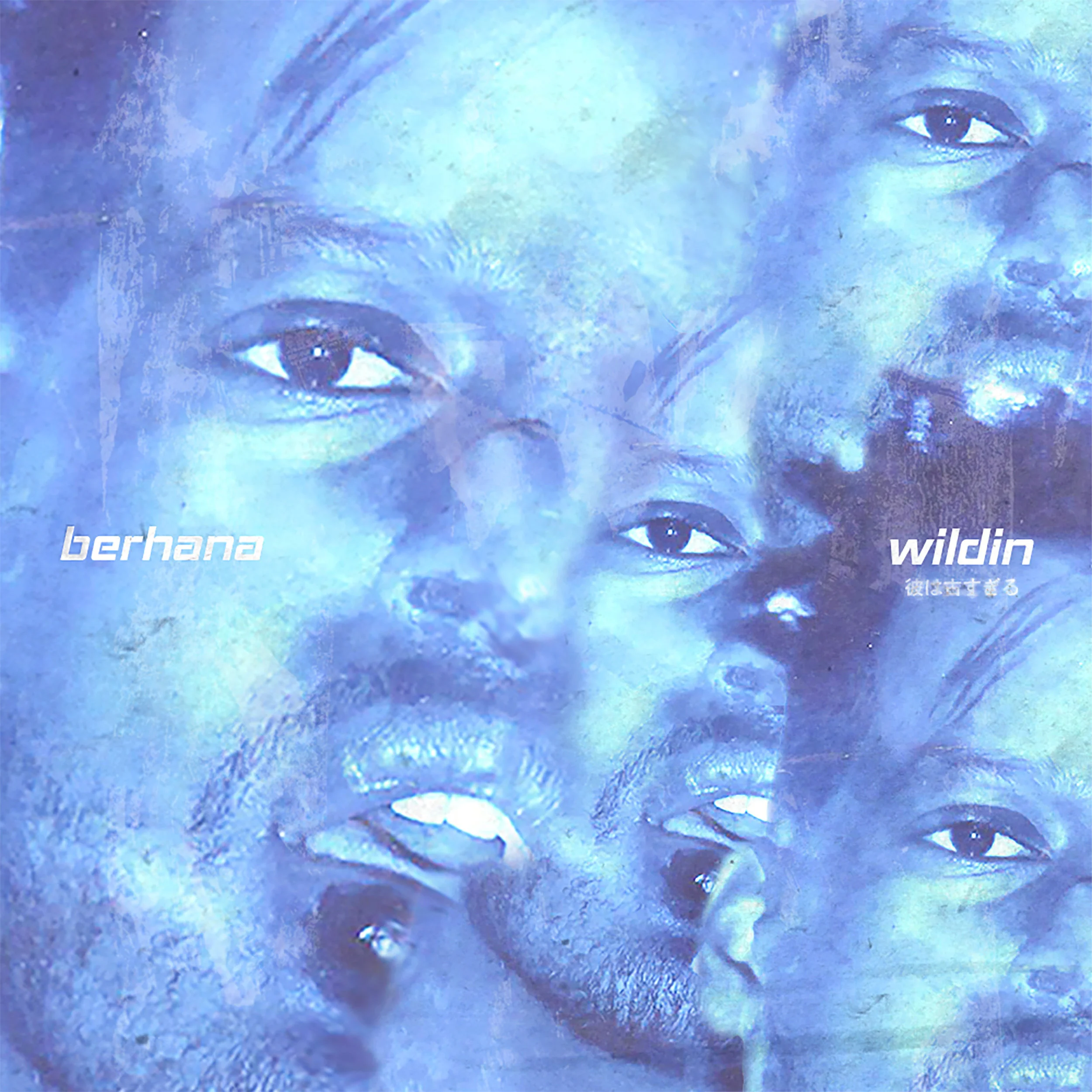 Wilding - Berhana