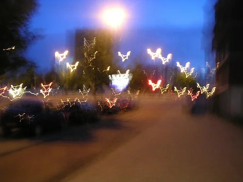 203200061_59258f03ee.jpg
