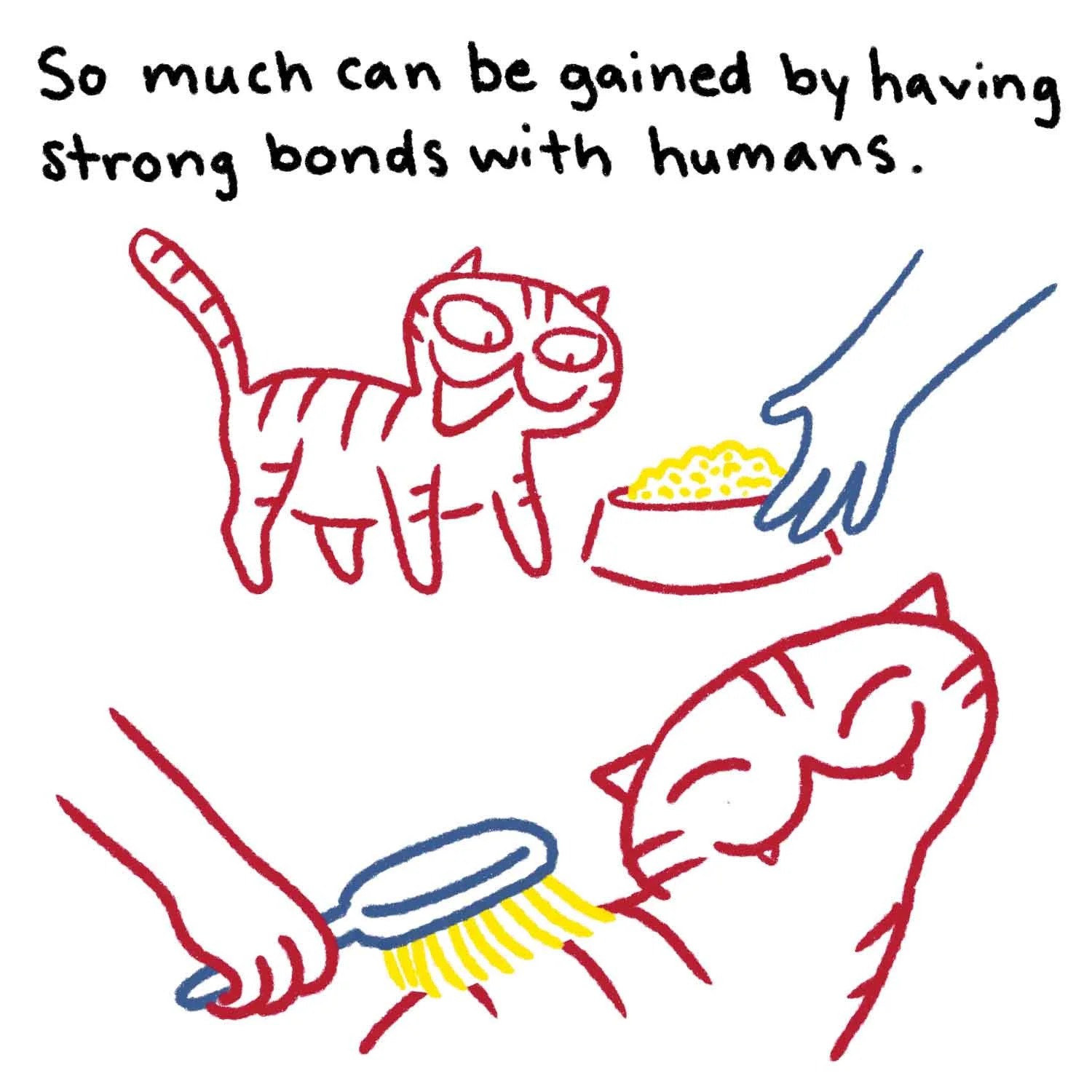 bonding_05.jpg