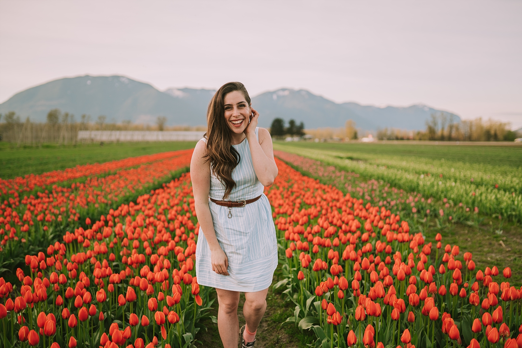 chilliwack tulip festival 2019