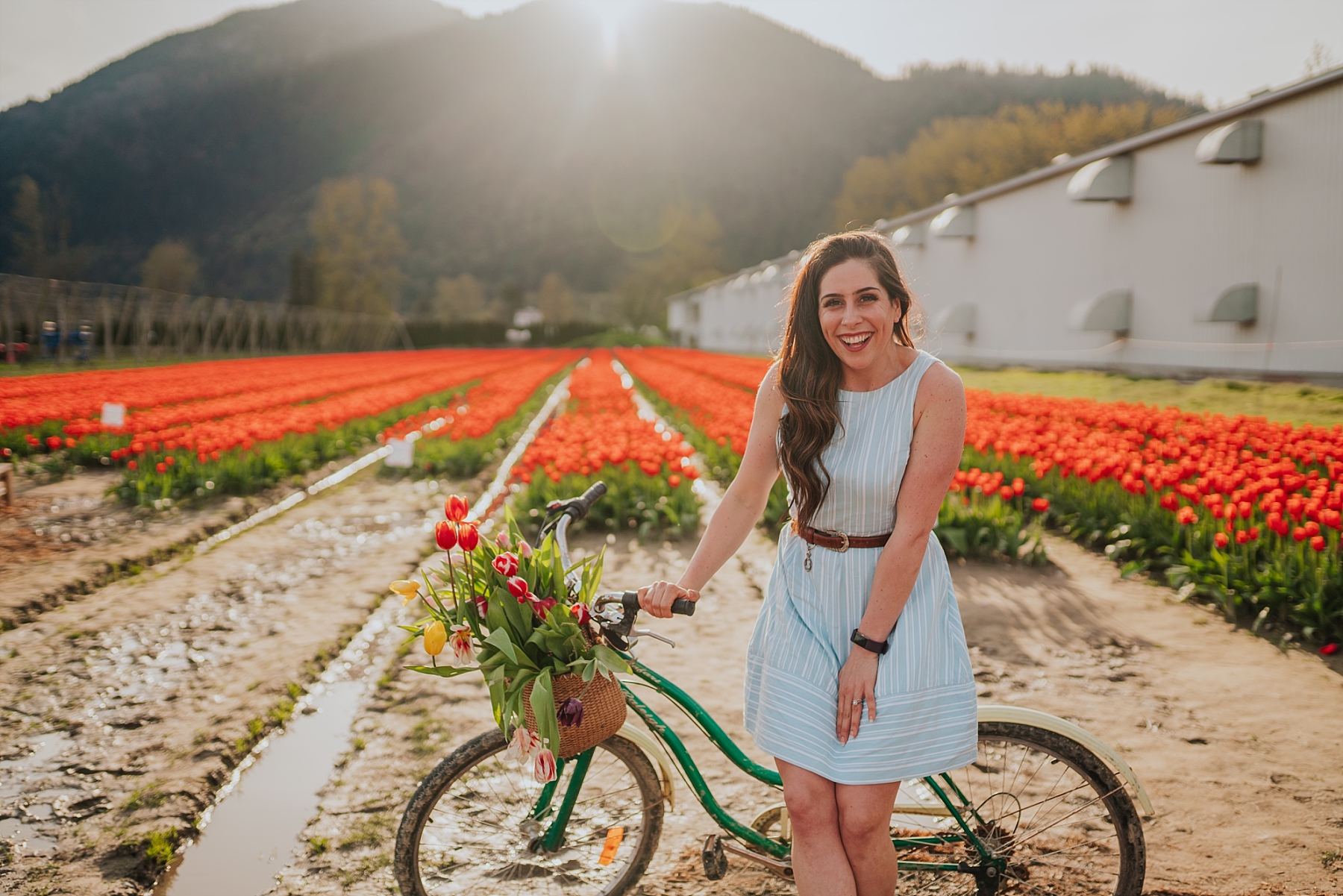 chilliwack tulip festival guide