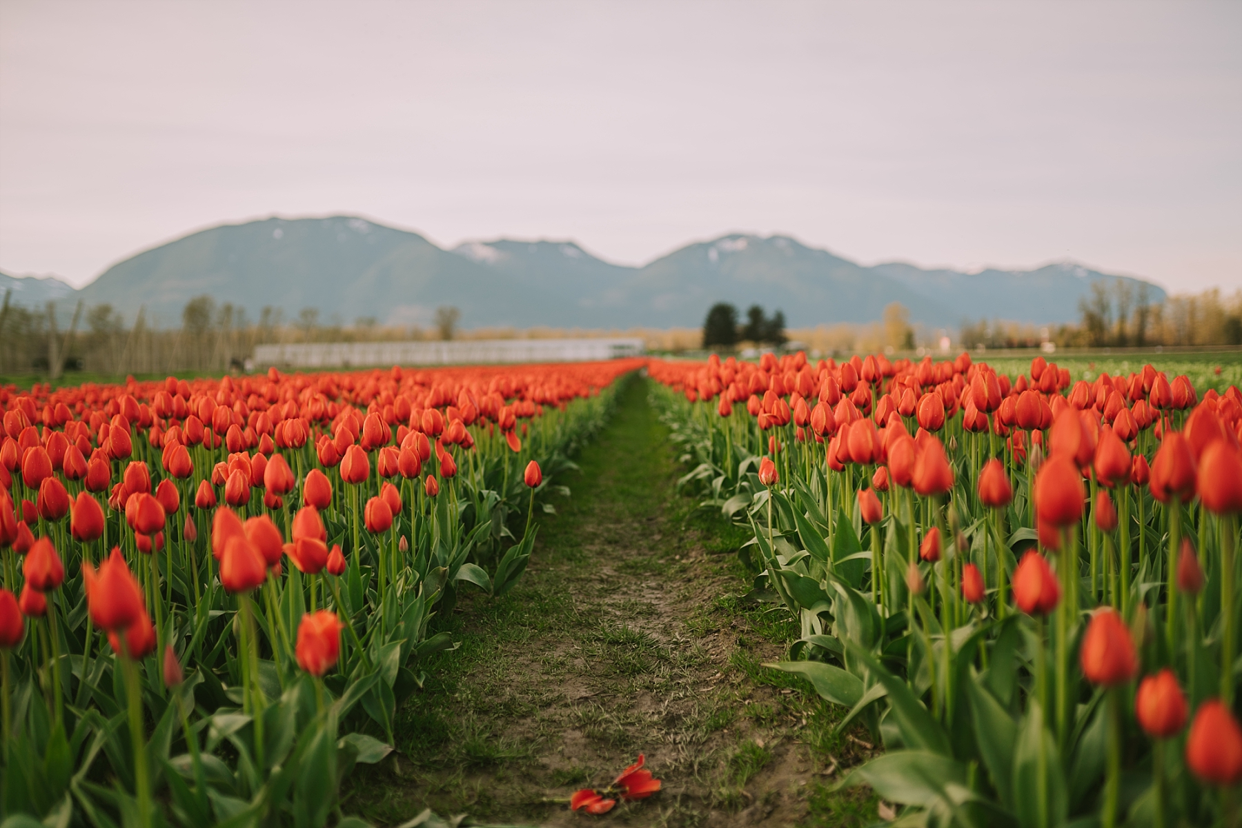 fraser valley blogger