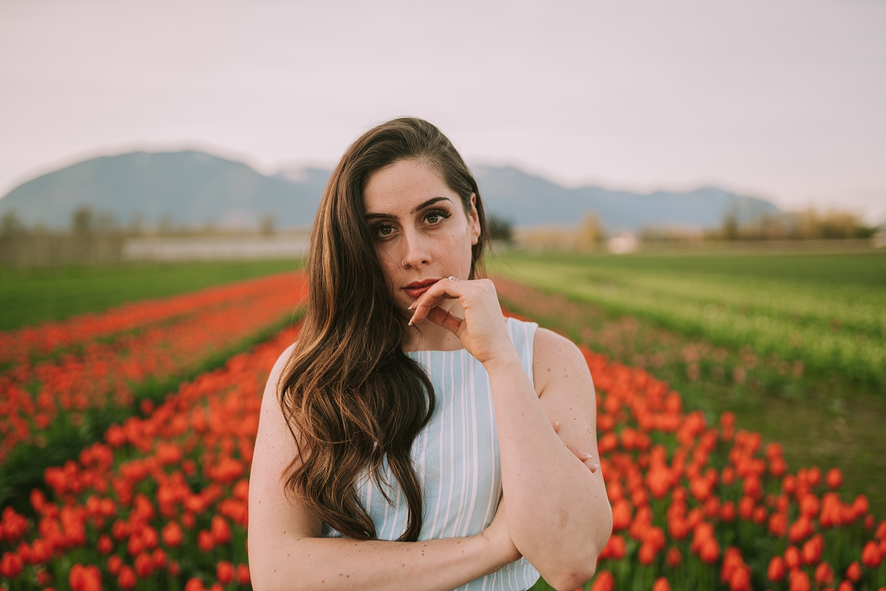 chilliwack tulip festival photo guide