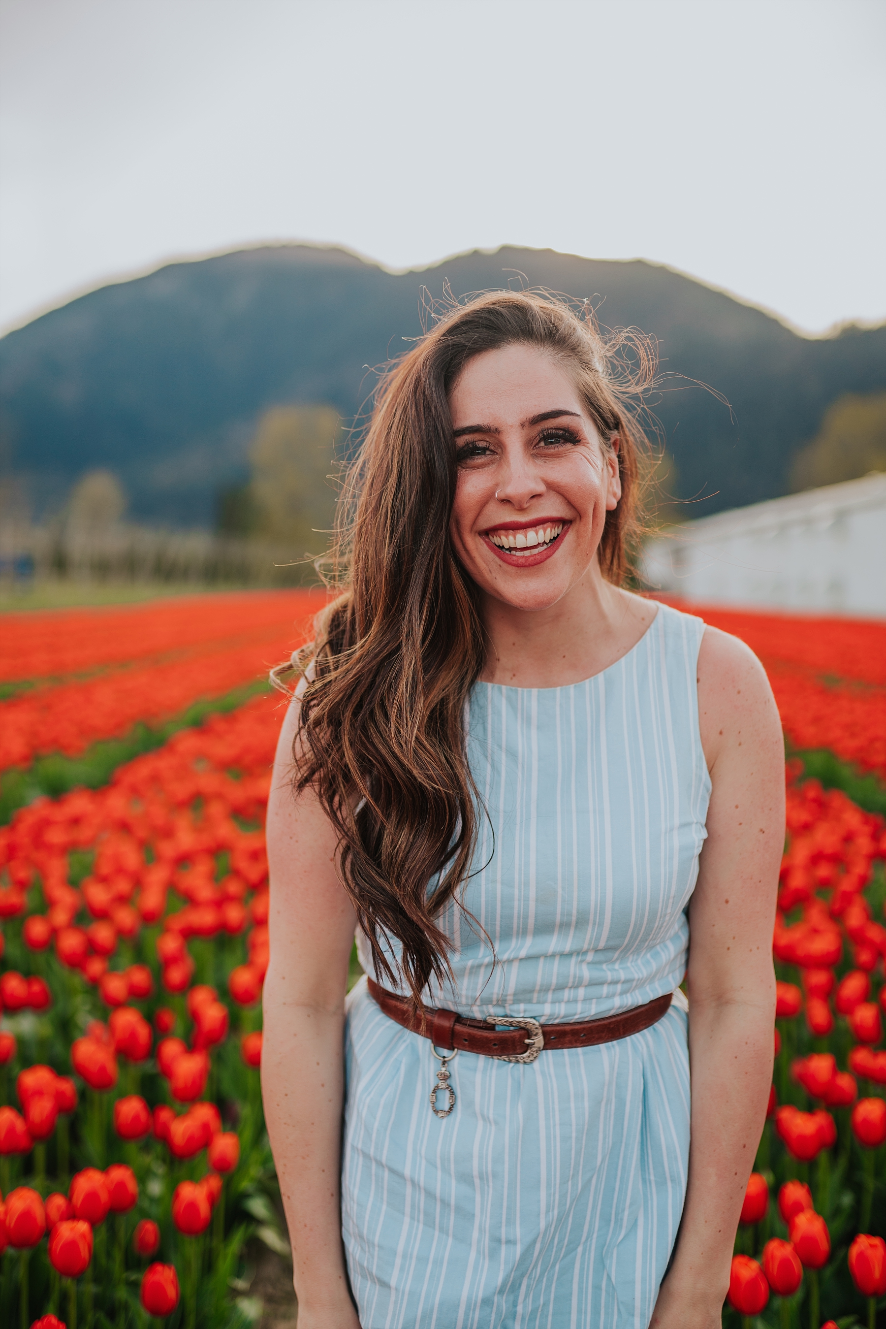 chilliwack tulip festival guide