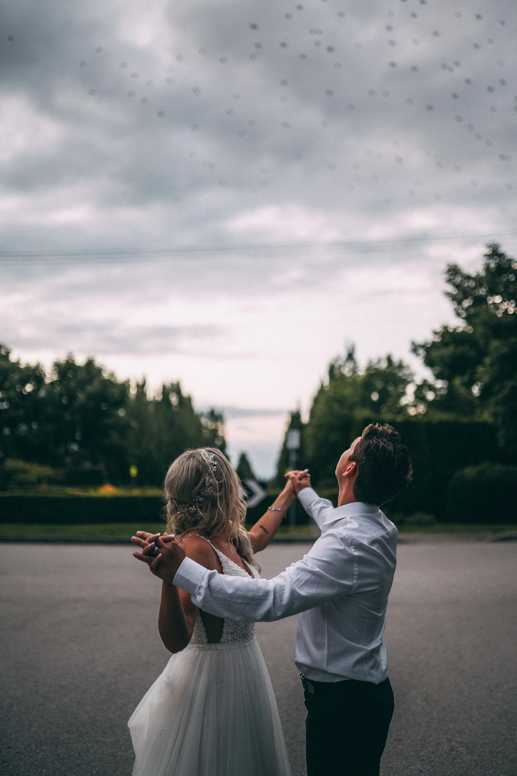 pitt meadows wedding photographer