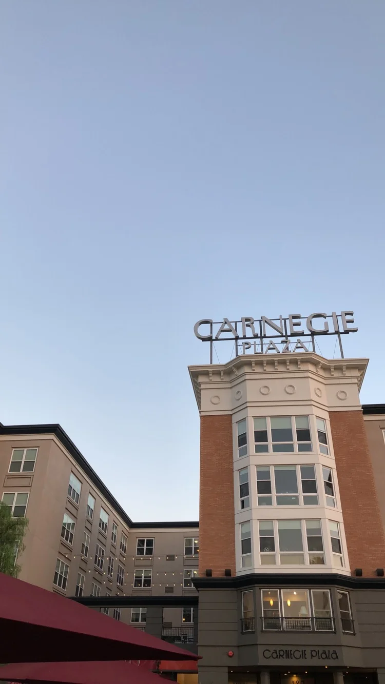 DCP Carnegie Plaza Apartment Tour (Penthouse Suite)