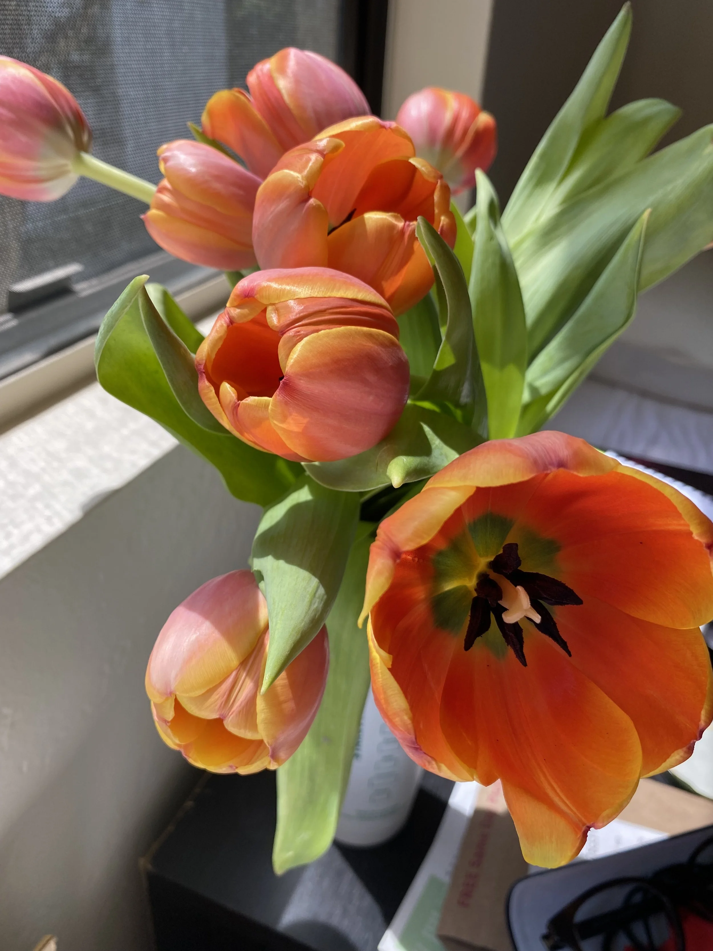 1 Month Until Commencement