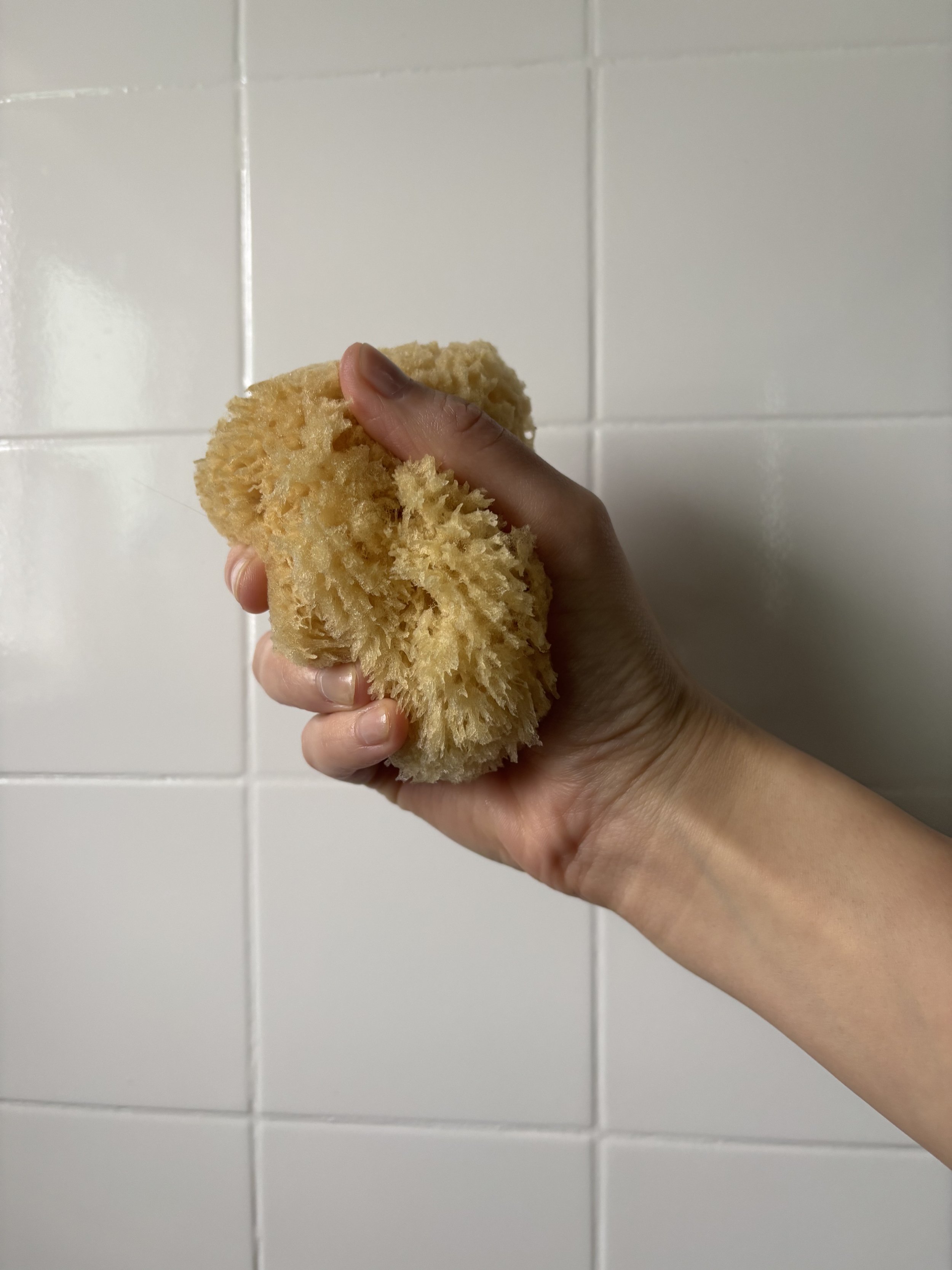 One hand holding and gently squeezing a sea sponge